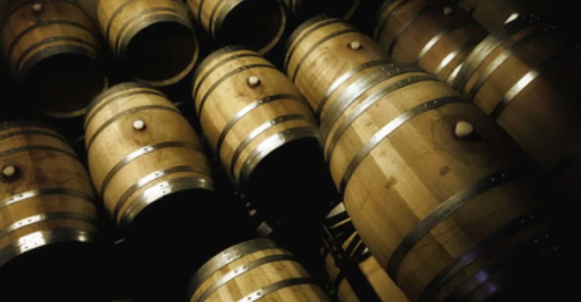 Mallorca: Bodega Butxet Vineyards & Winery Tour With Tasting - Inclusions of the Tour