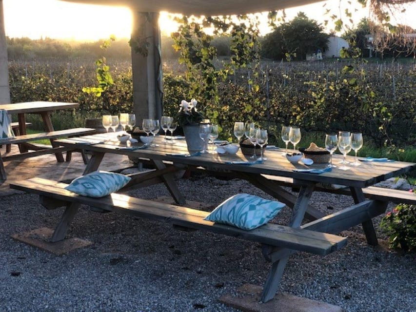 Mallorca: Bodega Butxet Vineyards & Winery Tour With Tasting - Things To Know