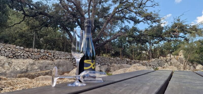 Mallorca: Cap & Cava - Minibus Tour to Formentor - GERMAN - Key points / Takeaways