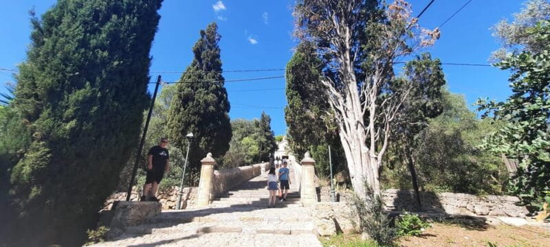 Mallorca: Cap & Cava - Minibus Tour to Formentor - GERMAN - Transportation & Group Size