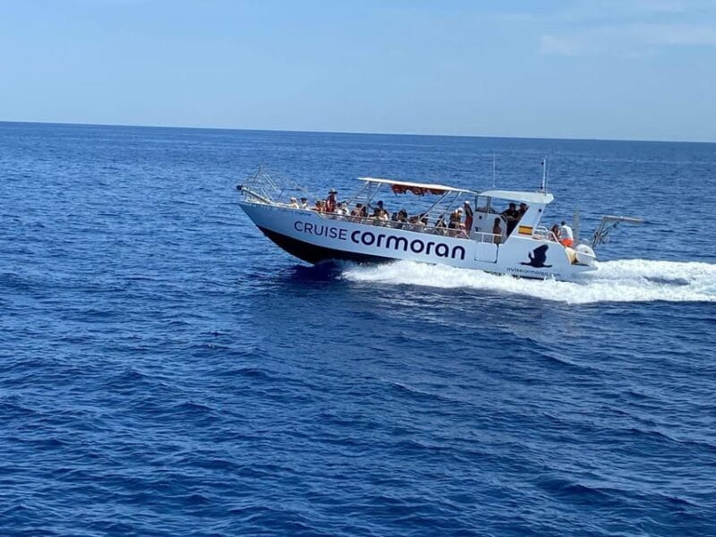 Mallorca: Caves, Cliffs, and Coves Boat Trip - Price and Value Assessment