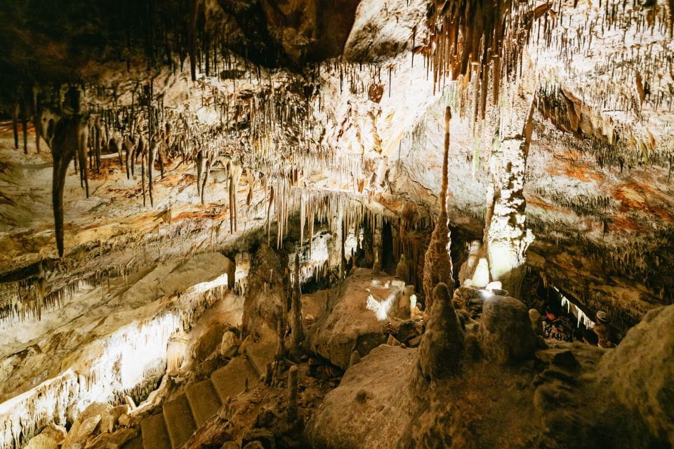 Mallorca: Caves of Drach Day Trip & Optional Caves of Hams - Customer Ratings and Feedback