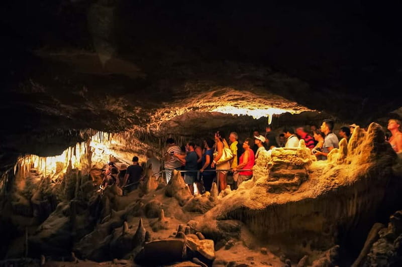 Mallorca: Caves of Drach Tour from the North with Boat Trip - Who Would Love This Tour?