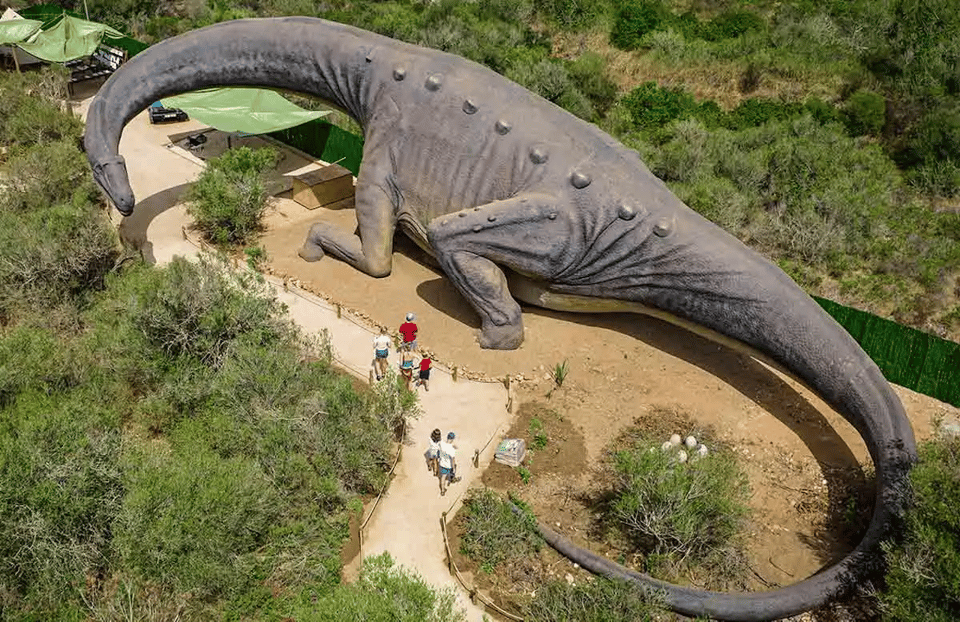 Mallorca: Caves of Hams and Dinosaurland Ticket With Pickup - Important Information and What to Bring