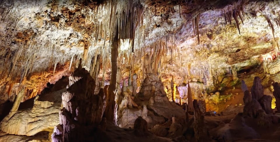 Mallorca: Day Trip to Caves of Hams & Optional Dinosaurland - Participant Information