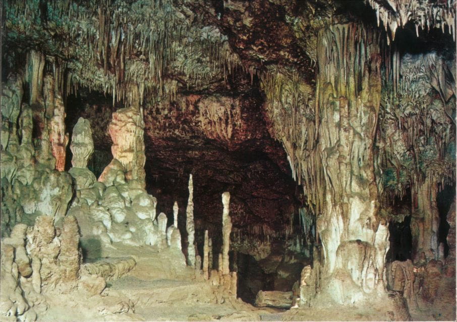 Mallorca: Day Trip to Caves of Hams & Optional Dinosaurland - Booking and Cancellation Policy