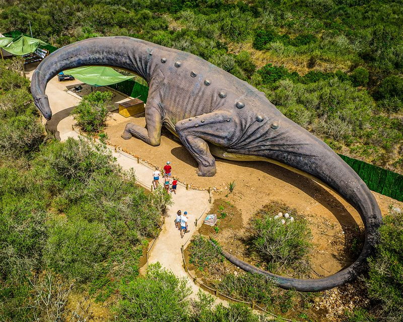 Mallorca: Dinosaurland and Caves of Hams Combined Ticket - Attractions and Highlights