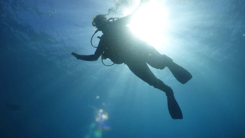 Mallorca: Discover Scuba Diving from the boat - Who Will Love This?