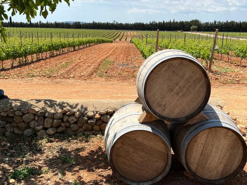 Mallorca: Discover the secret treasures of the local wine - FAQ