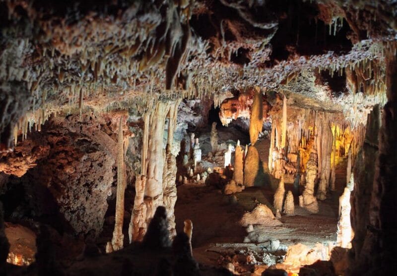 Mallorca: Drach and Hams Caves, and Porto Cristo Day Tour - Price and Value Analysis