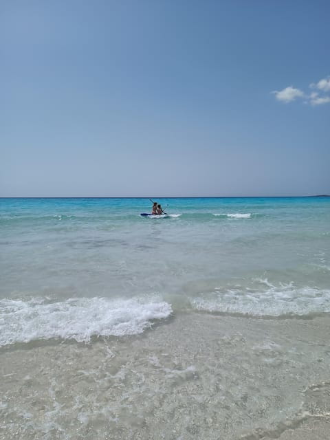 Mallorca Experinence: Es Trenc con Paddlesurf y Snorkel - Practical Tips for Making the Most of the Tour