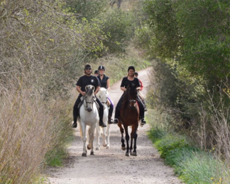 Mallorca: Guided Horseriding Tour of Randa Valley - Things To Know