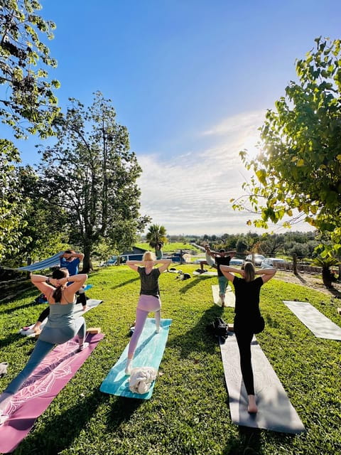 Mallorca: Holistic Private Yoga and Meditation Retreat - Key Points / Takeaways