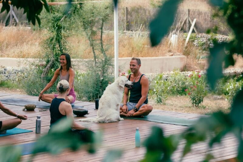 Mallorca: Holistic Private Yoga and Meditation Retreat - Who Is This Retreat Best For?