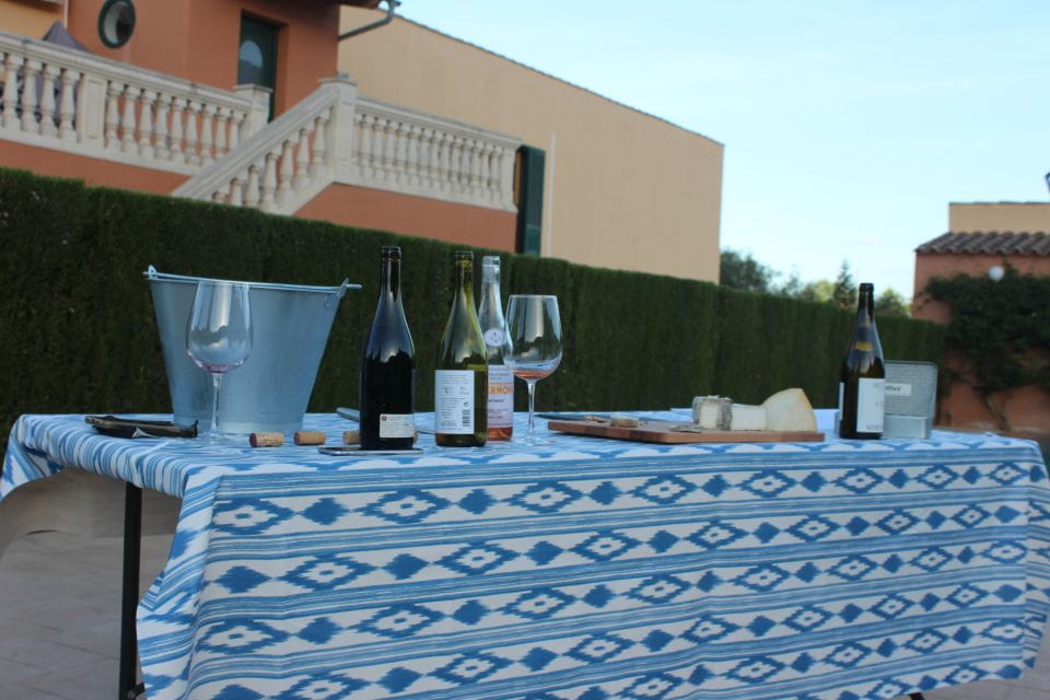 Mallorca: Horseback Riding Excursion and Wine Tasting - Key Points