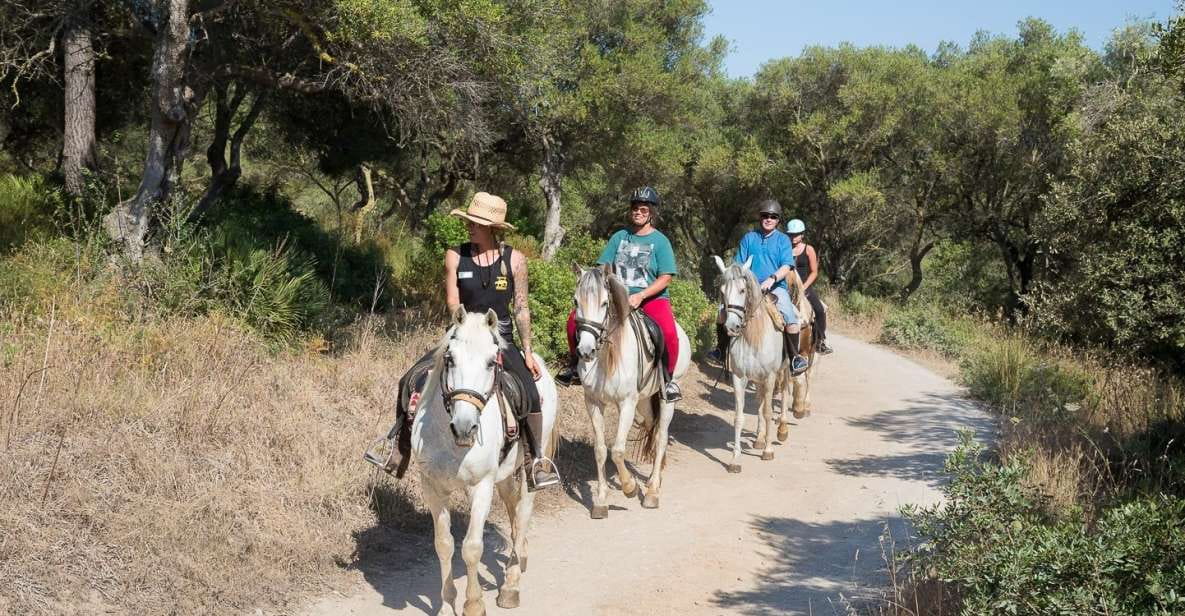 Mallorca: Horseback Riding Excursion and Wine Tasting - Inclusions