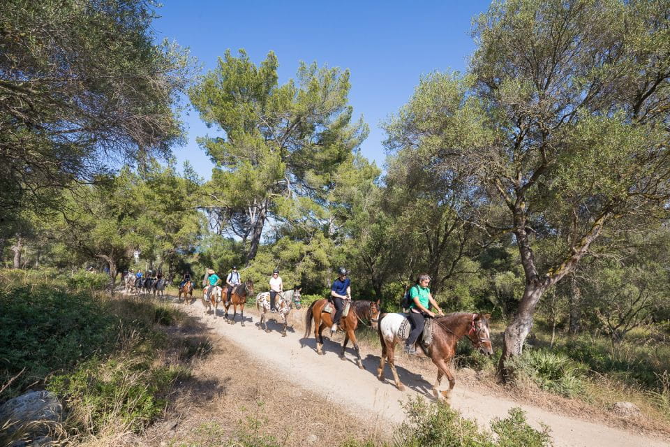 Mallorca: Horseback Riding Excursion and Wine Tasting - Participant Restrictions