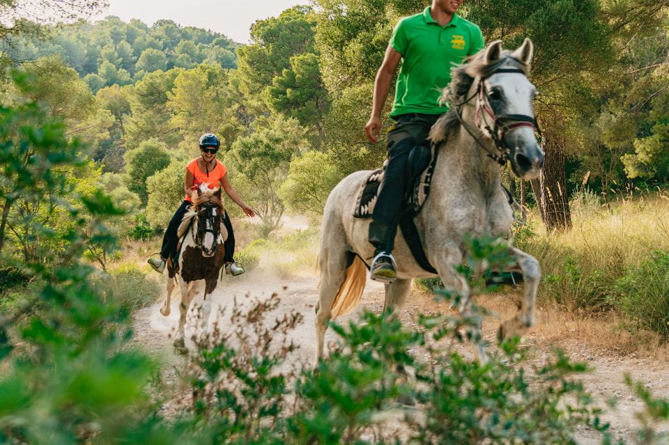 Mallorca: Horseback Riding Experience With Food Options - Key Points