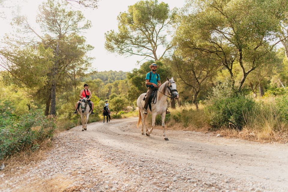 Mallorca: Horseback Riding Experience With Food Options - Suitability and Route