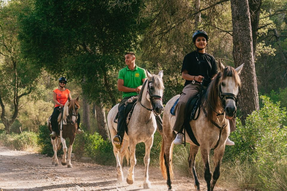 Mallorca: Horseback Riding Experience With Food Options - Highlights and Photo Opportunities