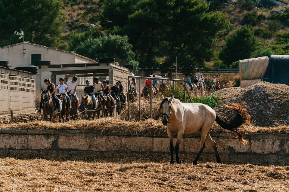 Mallorca: Horseback Riding Experience With Food Options - Food and Drink Options