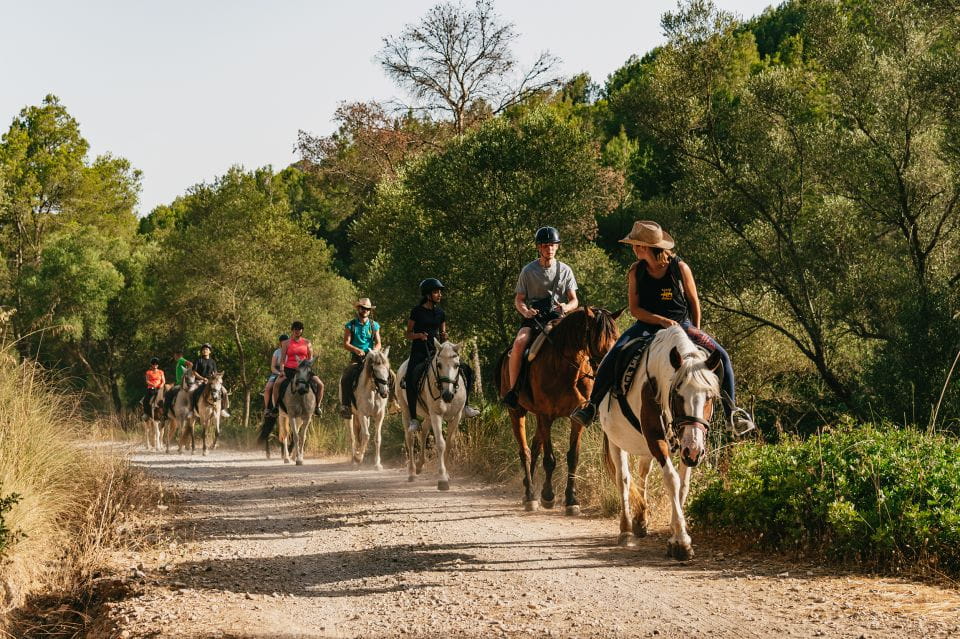 Mallorca: Horseback Riding Experience With Food Options - Logistics and Requirements