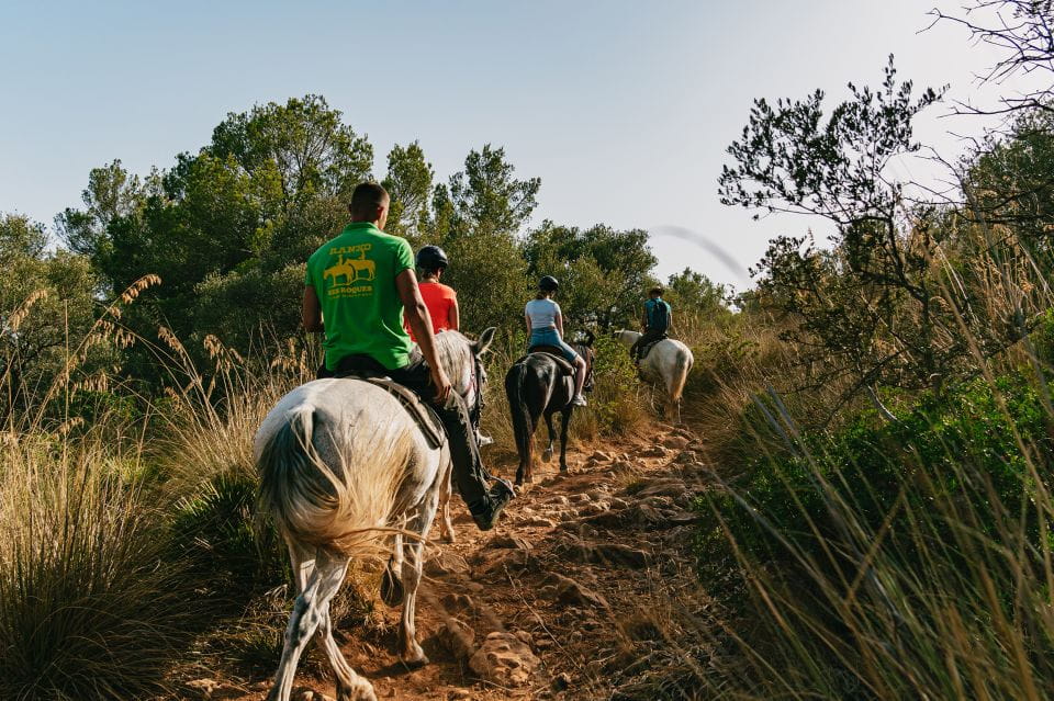 Mallorca: Horseback Riding Experience With Food Options - Customer Reviews and Ratings