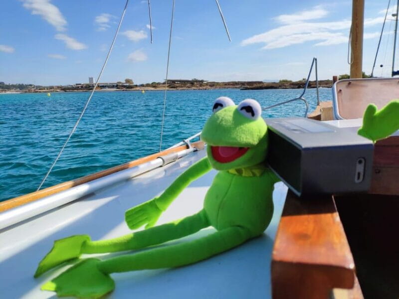 Mallorca: Llaüt Excursion around Palma with food and drinks - Who Will Love This Tour?