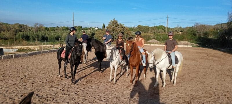 Mallorca: , Mallorcan sunset, horseback riding, with drinks - Who Will Love This?