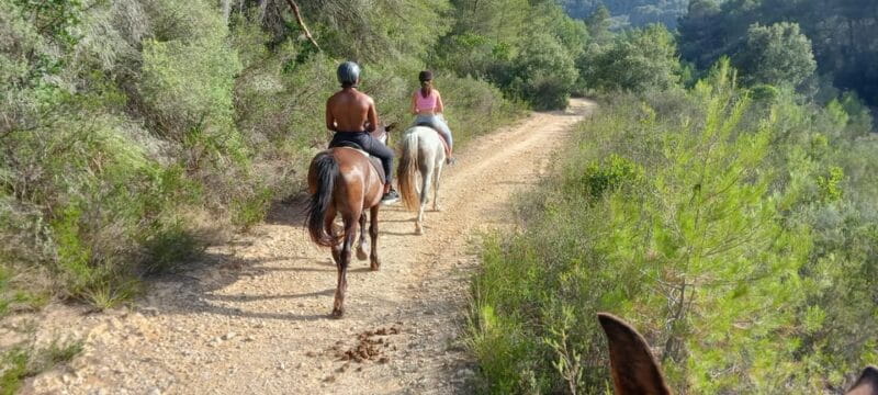 Mallorca: , Mallorcan sunset, horseback riding, with drinks - Practical Tips for Your Ride