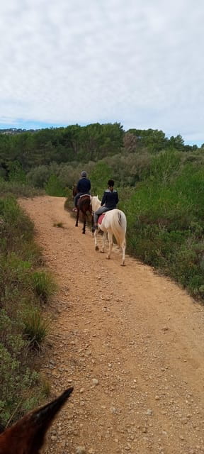 Mallorca: , Mallorcan sunset, horseback riding, with drinks - Frequently Asked Questions