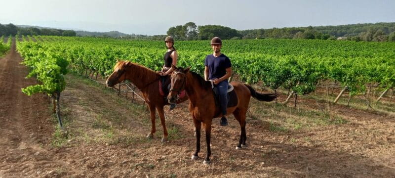 Mallorca: , Mallorcan sunset, horseback riding, with drinks - Final Thoughts