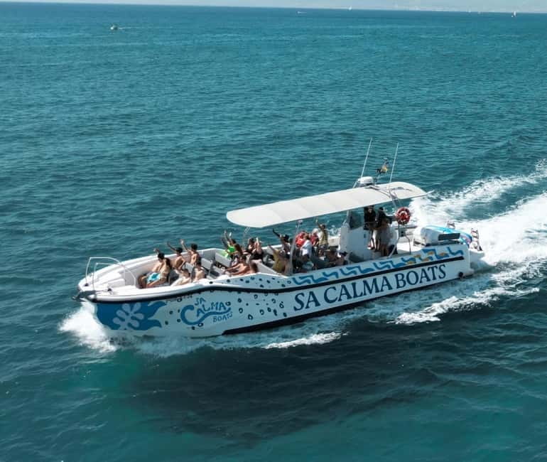 Mallorca Marine reserve: Visit caves, cliffs and snorkeling - Key points / Takeaways