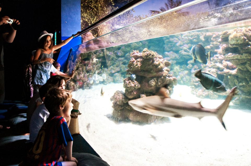 Mallorca: Palma Aquarium Entry Ticket W/ Optional 3D Cinema - Operating Hours