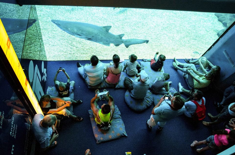 Mallorca: Palma Aquarium Entry Ticket W/ Optional 3D Cinema - Location Information