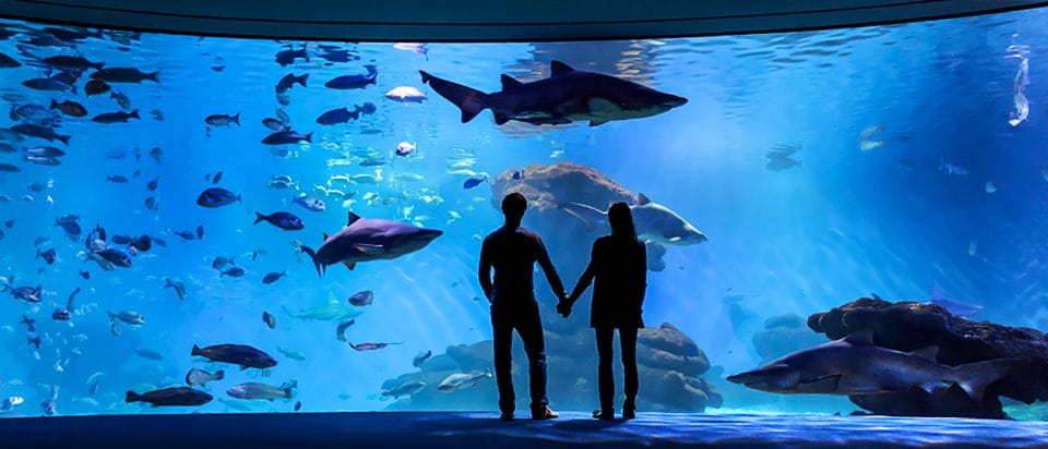 Mallorca: Palma Aquarium Entry Ticket W/ Optional 3D Cinema - Customer Feedback