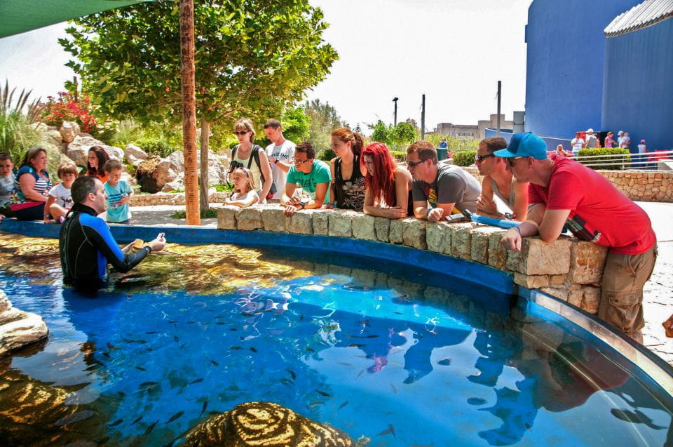 Mallorca: Palma Aquarium Entry Ticket W/ Optional 3D Cinema - Experience Highlights