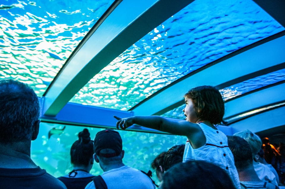 Mallorca: Palma Aquarium Entry Ticket W/ Optional 3D Cinema - Entry Restrictions
