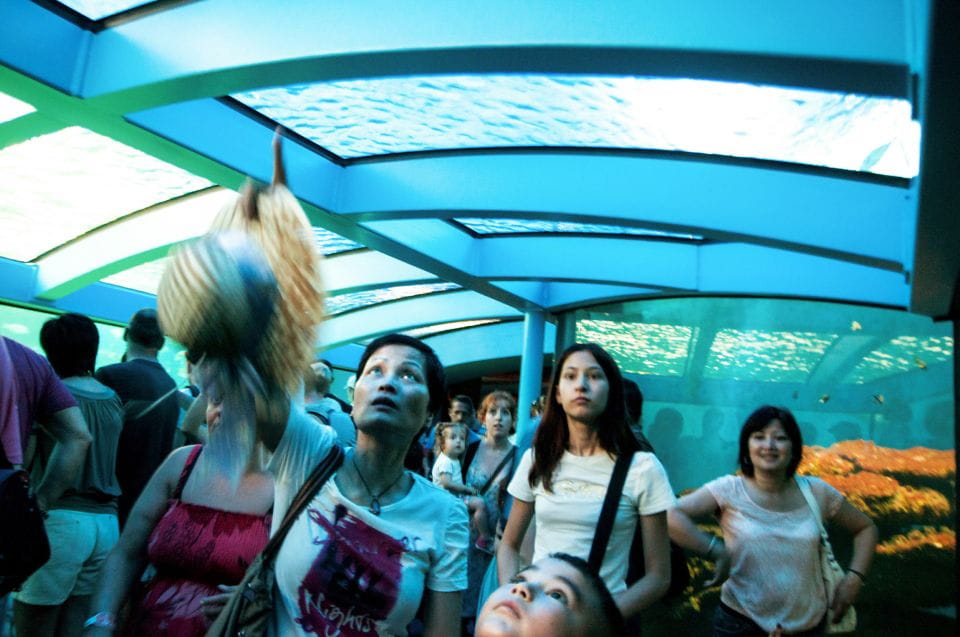 Mallorca: Palma Aquarium Entry Ticket W/ Optional 3D Cinema - Things To Know