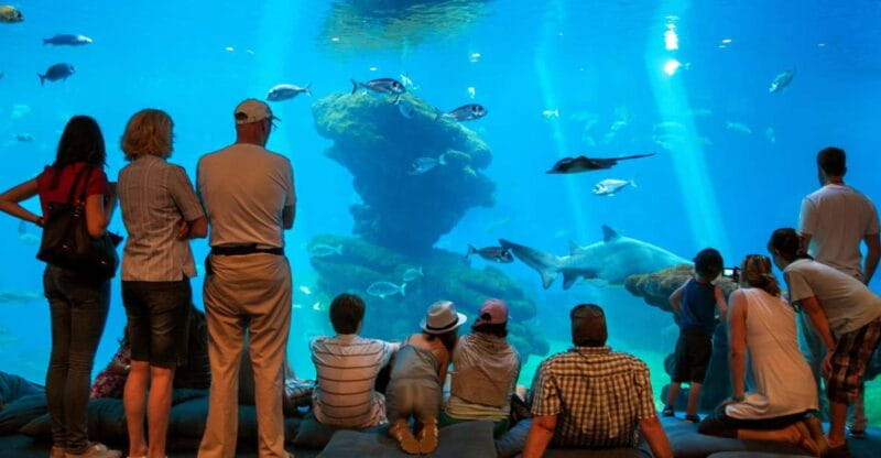Mallorca: Palma Aquarium Tickets with Transfer - Key points / Takeaways