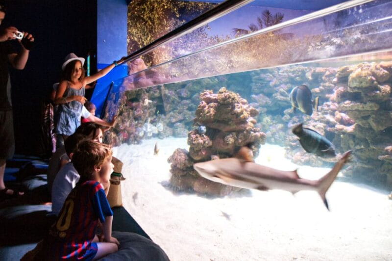 Mallorca: Palma Aquarium Tickets with Transfer - Who Should Consider This Tour?