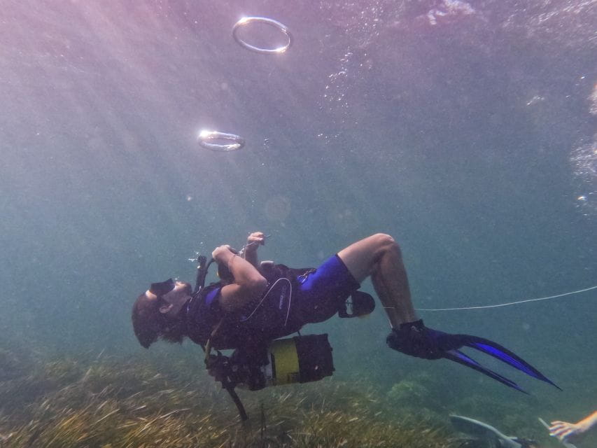 Mallorca: Private Beginner Scuba Dive With Photos and Video - Included Equipment and Media