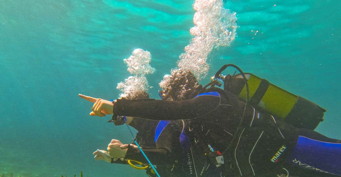Mallorca: Private Beginner Scuba Dive With Photos and Video - Things To Know