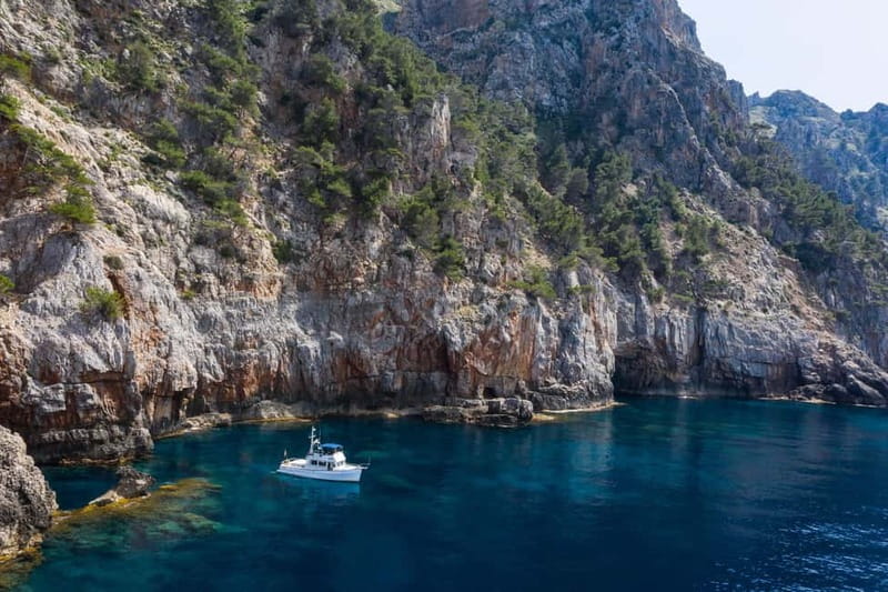 Mallorca: Private boat tour in Palma de Mallorca - Key Points / Takeaways