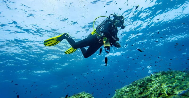 Mallorca: Scuba Dive Adventure Cap de Formentor - 1 dive site - Key Points / Takeaways