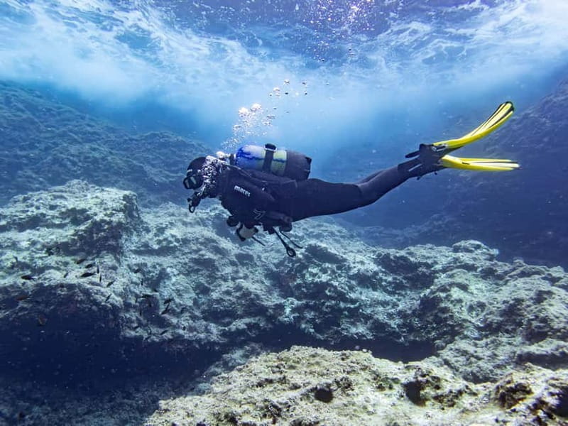 Mallorca: Scuba Dive Adventure Cap de Formentor - 2 dive sites - Frequently Asked Questions