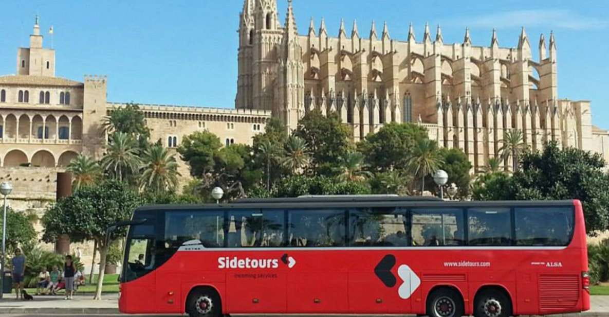 Mallorca: Shared 1-Way Transfer From Airport to Hotel - Key Points