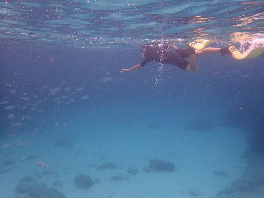 Mallorca: Snorkeling in a Beautiful Nature Reserve - Booking Details and Pricing