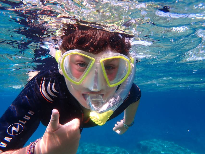 Mallorca: Snorkeling in a Beautiful Nature Reserve - Highlights of the Nature Reserve