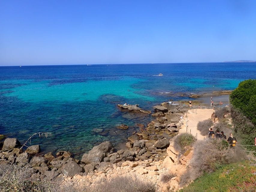 Mallorca: Snorkeling in a Beautiful Nature Reserve - What to Expect During the Tour
